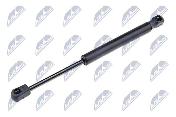 NTY AE-VW-013 Gas Spring, boot-/cargo area AEVW013: Buy near me in Poland at 2407.PL - Good price!