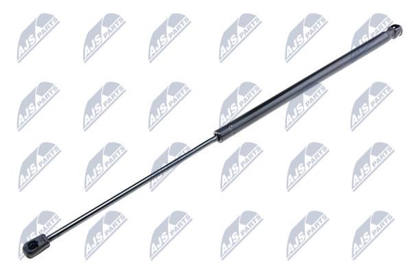 NTY AE-VW-019 Gas Spring, boot-/cargo area AEVW019: Buy near me in Poland at 2407.PL - Good price!