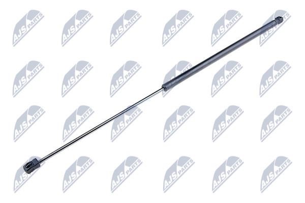 NTY AE-VW-020 Gas hood spring AEVW020: Buy near me in Poland at 2407.PL - Good price!