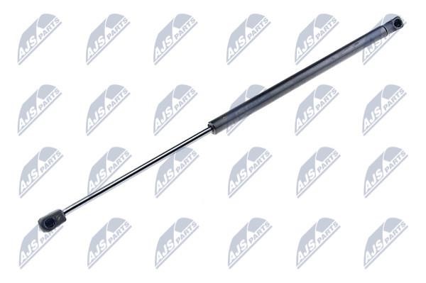 NTY AE-VW-024 Gas Spring, boot-/cargo area AEVW024: Buy near me in Poland at 2407.PL - Good price!
