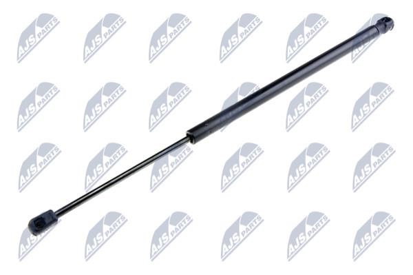NTY AE-VW-027 Gas Spring, boot-/cargo area AEVW027: Buy near me in Poland at 2407.PL - Good price!
