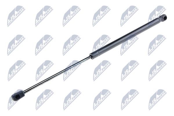 NTY AE-VW-041 Gas Spring, boot-/cargo area AEVW041: Buy near me at 2407.PL in Poland at an Affordable price!