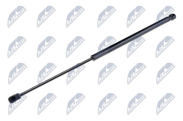 NTY AE-VW-043 Gas Spring, boot-/cargo area AEVW043: Buy near me in Poland at 2407.PL - Good price!