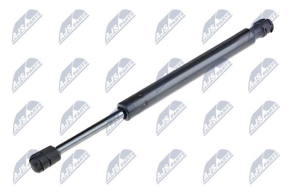NTY AE-VW-044 Gas Spring, boot-/cargo area AEVW044: Buy near me in Poland at 2407.PL - Good price!
