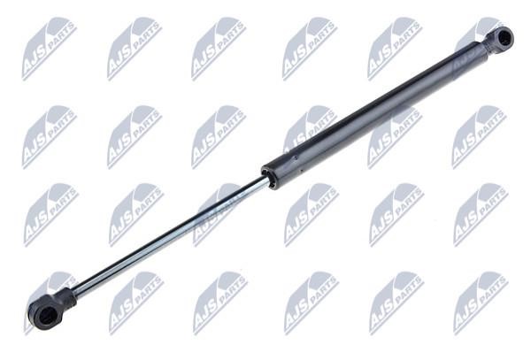 NTY AE-VW-053 Gas Spring, boot-/cargo area AEVW053: Buy near me in Poland at 2407.PL - Good price!