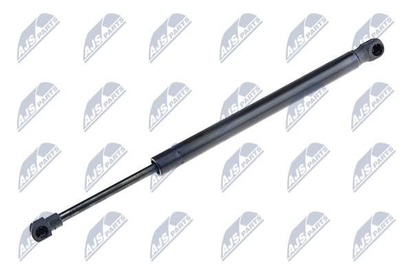 NTY AE-VW-059 Gas Spring, boot-/cargo area AEVW059: Buy near me in Poland at 2407.PL - Good price!