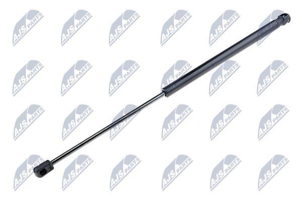 NTY AE-VW-061 Gas Spring, boot-/cargo area AEVW061: Buy near me in Poland at 2407.PL - Good price!