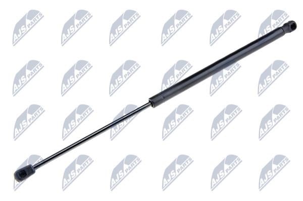 NTY AE-VW-064 Gas Spring, boot-/cargo area AEVW064: Buy near me in Poland at 2407.PL - Good price!