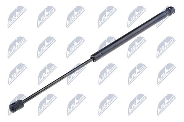 NTY AE-VW-070 Gas Spring, boot-/cargo area AEVW070: Buy near me at 2407.PL in Poland at an Affordable price!