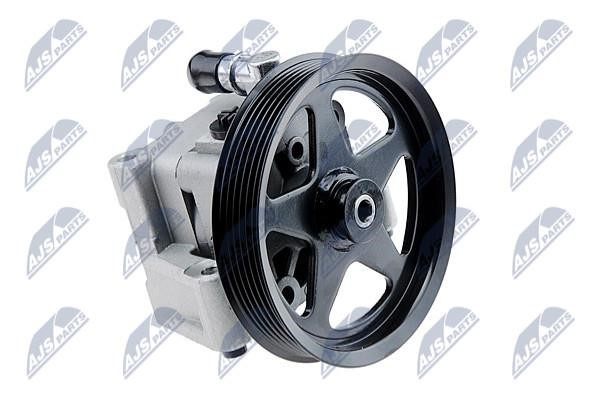 NTY SPW-LR-013 Hydraulic Pump, steering system SPWLR013: Buy near me in Poland at 2407.PL - Good price!