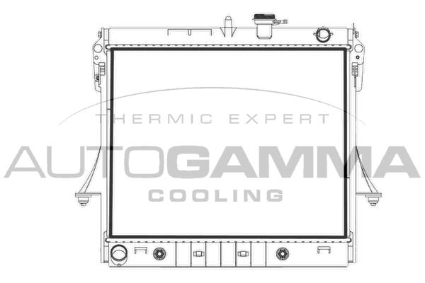 Autogamma 107980 Радіатор, система охолодження двигуна 107980: Приваблива ціна - Купити у Польщі на 2407.PL!