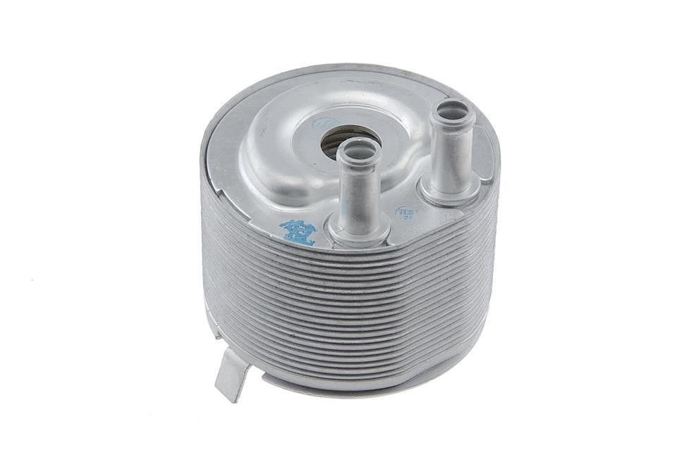NTY CCL-NS-002 Oil cooler CCLNS002: Buy near me in Poland at 2407.PL - Good price!