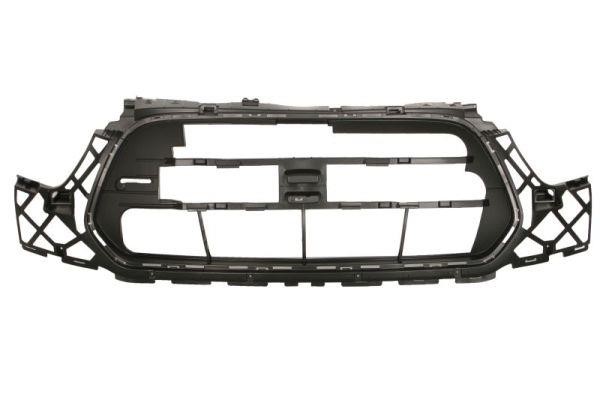 Blic 6502-07-2518995P Grille radiator 6502072518995P: Buy near me in Poland at 2407.PL - Good price!