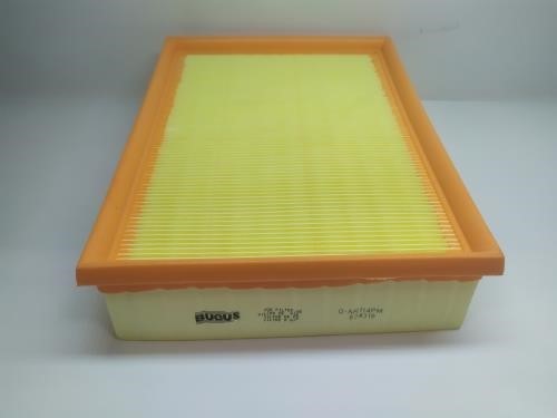 Bugus Q-AR114PM Air filter QAR114PM: Buy near me at 2407.PL in Poland at an Affordable price!