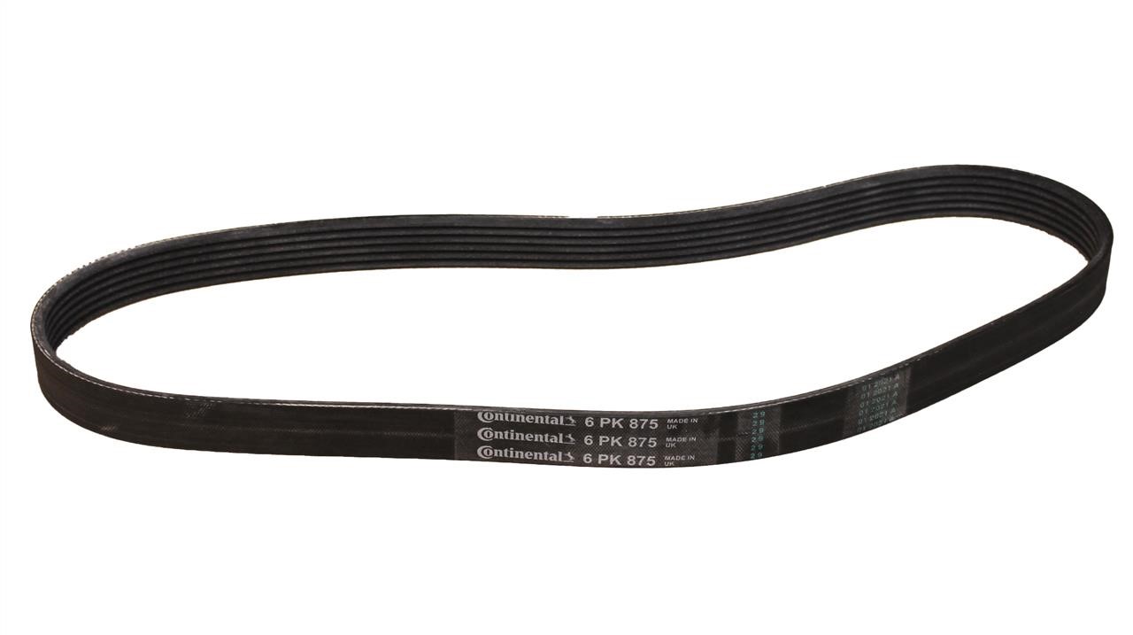 Contitech 6PK875 V-ribbed belt 6PK875 6PK875: Buy near me in Poland at 2407.PL - Good price!