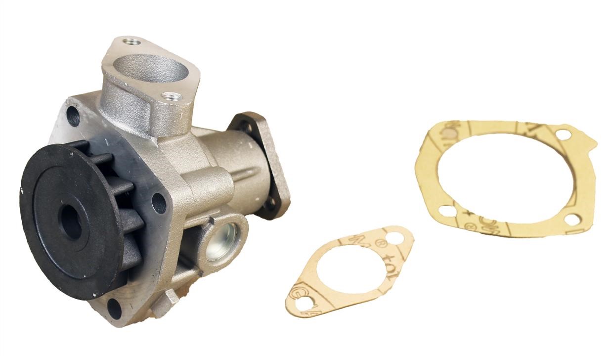 Dolz L155 Water pump L155: Buy near me in Poland at 2407.PL - Good price!