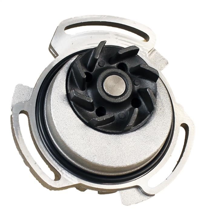 Dolz A164 Water pump A164: Buy near me in Poland at 2407.PL - Good price!