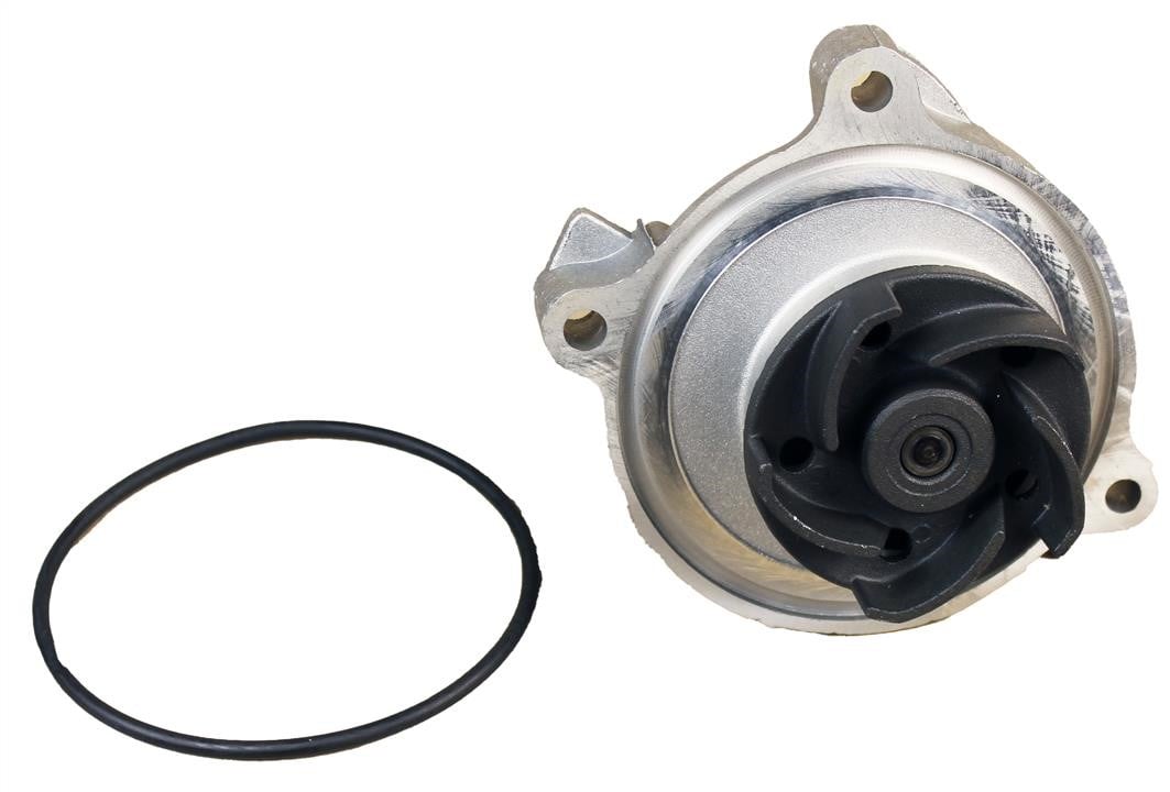 Dolz A171 Water pump A171: Buy near me in Poland at 2407.PL - Good price!