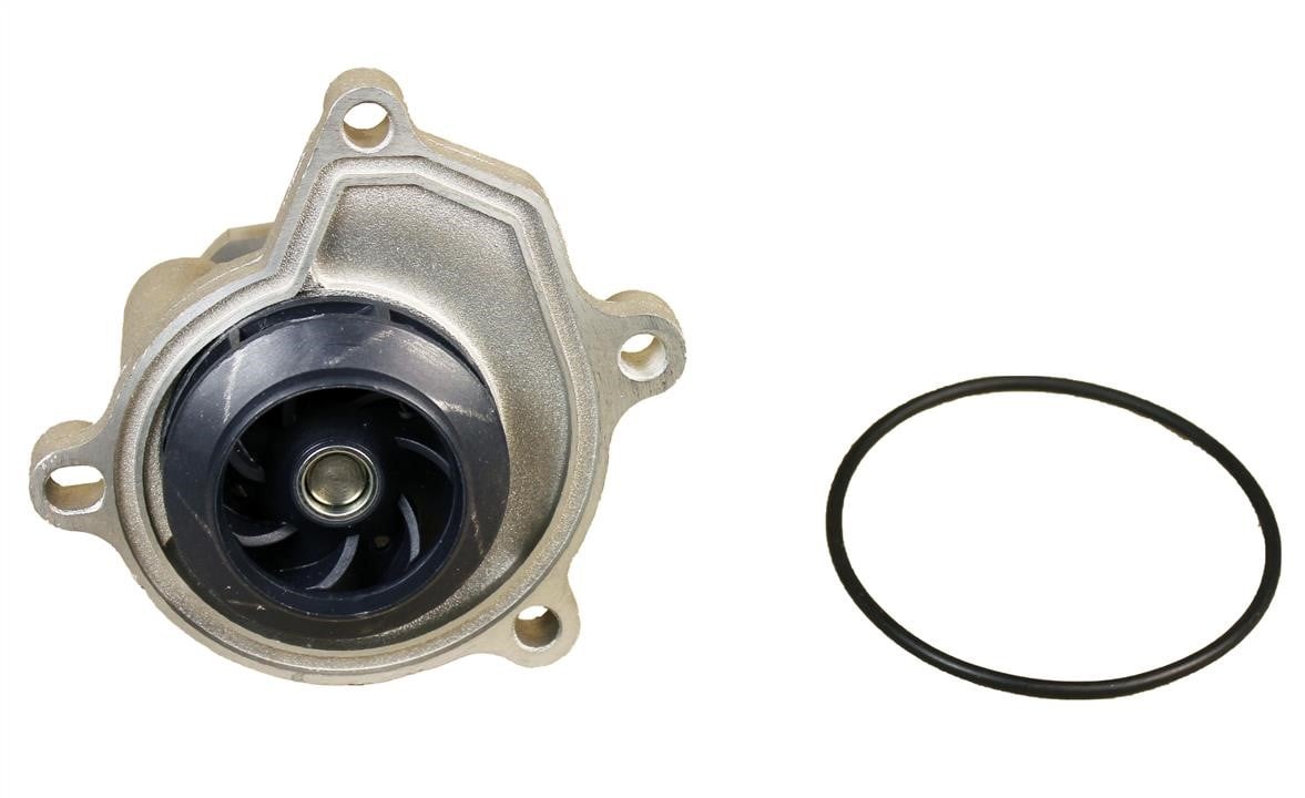 Dolz A207 Water pump A207: Buy near me in Poland at 2407.PL - Good price!