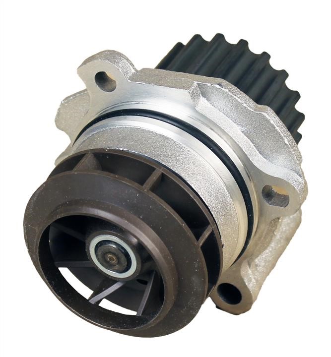 Dolz A251 Water pump A251: Buy near me in Poland at 2407.PL - Good price!