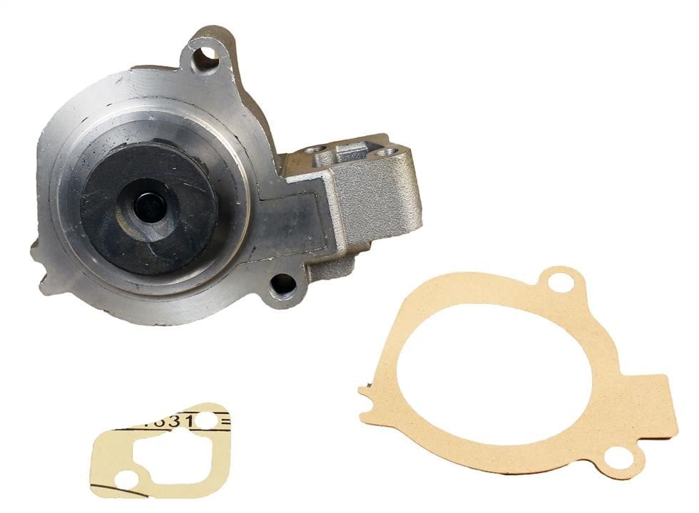 Dolz F115 Water pump F115: Buy near me in Poland at 2407.PL - Good price!