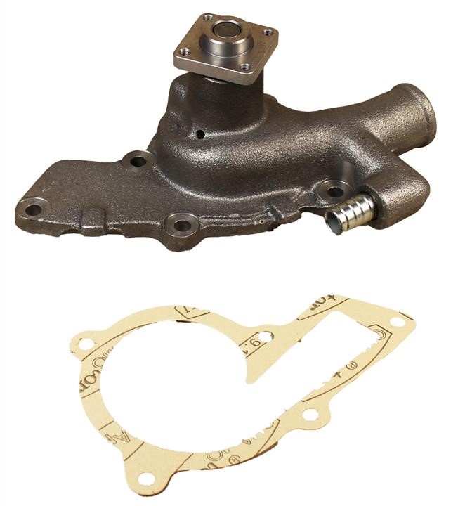 Dolz F129 Water pump F129: Buy near me in Poland at 2407.PL - Good price!