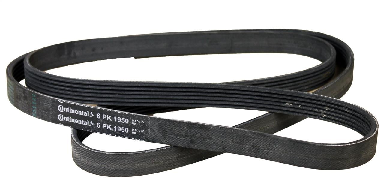 Contitech 6PK1950 V-ribbed belt 6PK1950 6PK1950: Buy near me in Poland at 2407.PL - Good price!