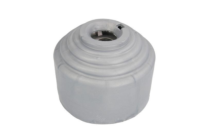 Reinhoch RH11-3044 Engine mount RH113044: Buy near me at 2407.PL in Poland at an Affordable price!