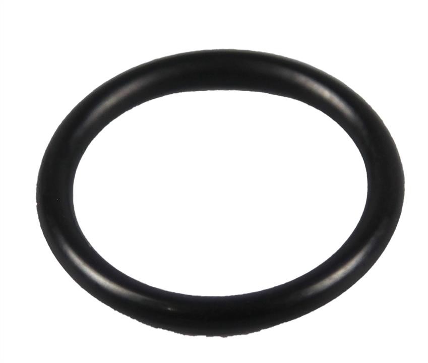 General Motors 97252583 O-RING,FUEL 97252583: Buy near me in Poland at 2407.PL - Good price!