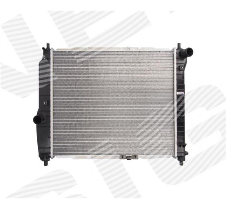 Signeda RA61636K Radiator, engine cooling RA61636K: Buy near me in Poland at 2407.PL - Good price!