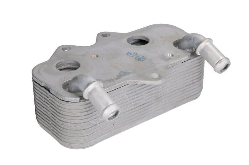 Thermotec D4X008TT Oil cooler D4X008TT: Buy near me in Poland at 2407.PL - Good price!