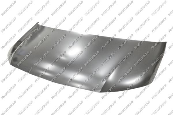 Prasco VG9213100 Hood VG9213100: Buy near me at 2407.PL in Poland at an Affordable price!