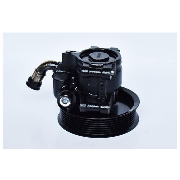 ASAM 73419 Hydraulic Pump, steering system 73419: Buy near me in Poland at 2407.PL - Good price!
