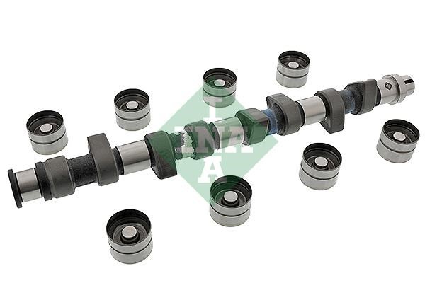 INA 428 0047 30 Camshaft set 428004730: Buy near me in Poland at 2407.PL - Good price!