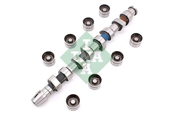 INA 428 0049 30 Camshaft set 428004930: Buy near me in Poland at 2407.PL - Good price!