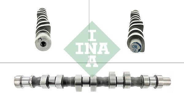 INA 428 0093 10 Camshaft 428009310: Buy near me in Poland at 2407.PL - Good price!