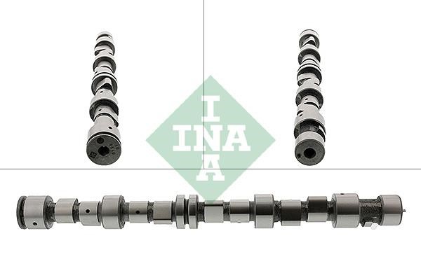 INA 428 0096 10 Camshaft 428009610: Buy near me in Poland at 2407.PL - Good price!