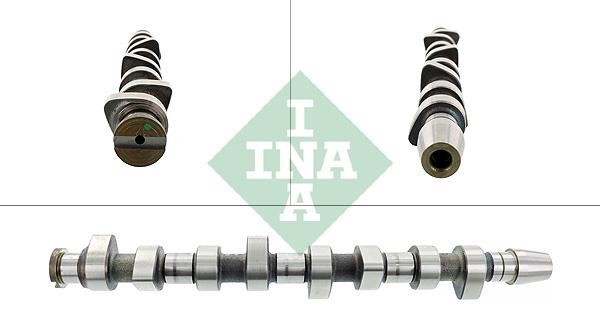 INA 428 0099 10 Camshaft 428009910: Buy near me in Poland at 2407.PL - Good price!