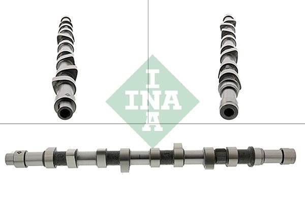 INA 428 0109 10 Camshaft 428010910: Buy near me in Poland at 2407.PL - Good price!