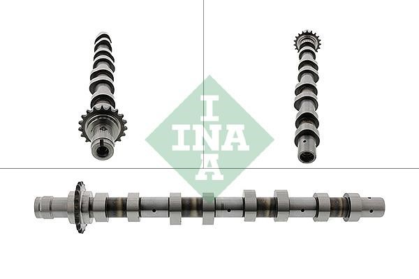 INA 428 0119 10 Camshaft 428011910: Buy near me at 2407.PL in Poland at an Affordable price!
