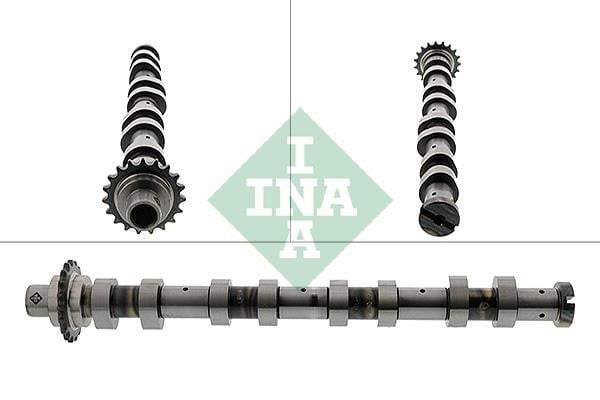 INA 428 0120 10 Camshaft 428012010: Buy near me at 2407.PL in Poland at an Affordable price!