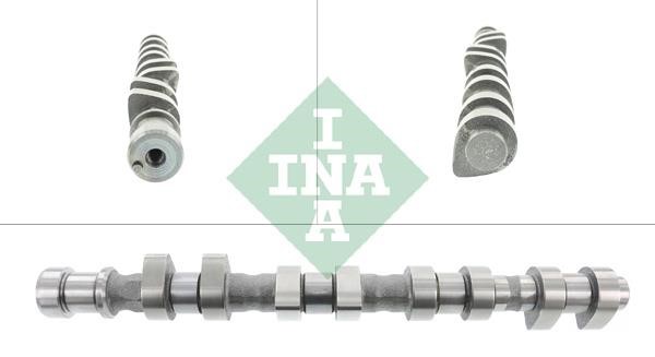 INA 428 0122 10 Camshaft 428012210: Buy near me in Poland at 2407.PL - Good price!