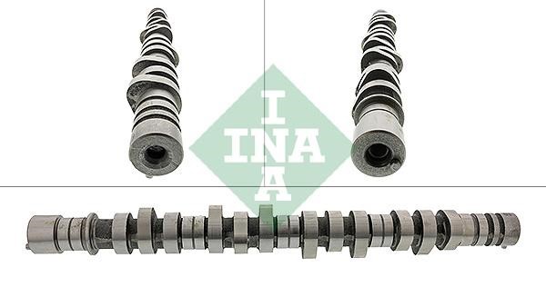 INA 428 0126 10 Camshaft 428012610: Buy near me in Poland at 2407.PL - Good price!