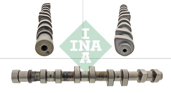 INA 428 0146 10 Camshaft 428014610: Buy near me in Poland at 2407.PL - Good price!