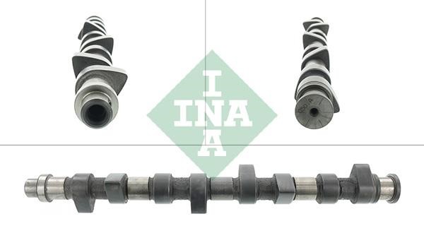 INA 428 0153 10 Camshaft 428015310: Buy near me at 2407.PL in Poland at an Affordable price!