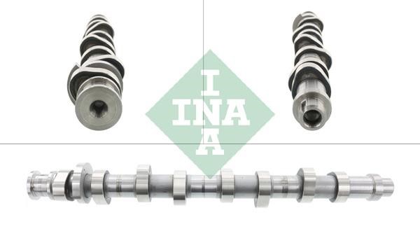 INA 428 0161 10 Camshaft 428016110: Buy near me at 2407.PL in Poland at an Affordable price!