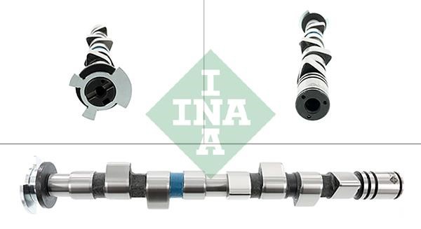 INA 428 0166 10 Camshaft 428016610: Buy near me in Poland at 2407.PL - Good price!