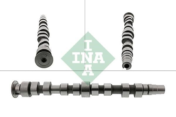 INA 428 0169 10 Camshaft 428016910: Buy near me in Poland at 2407.PL - Good price!