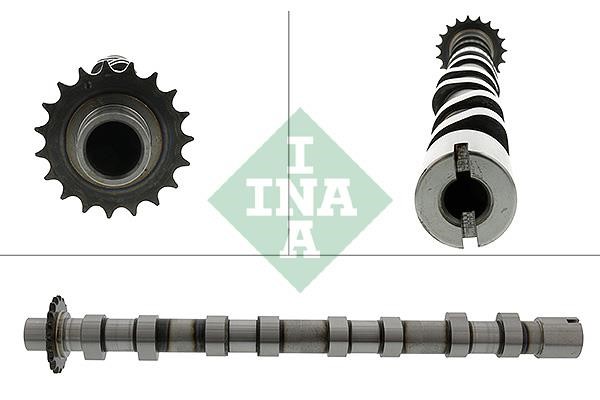 INA 428 0189 10 Camshaft 428018910: Buy near me in Poland at 2407.PL - Good price!