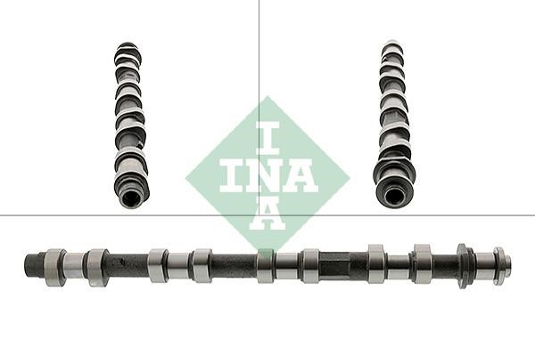 INA 428 0196 10 Camshaft 428019610: Buy near me in Poland at 2407.PL - Good price!